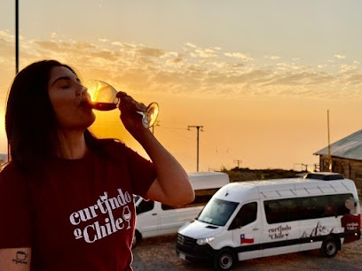 Agencia Curtindo o Chile | Tours e passeios de Santiago