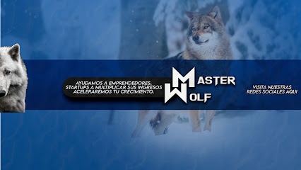 Agencia de Marketing MasterWolf Agency /