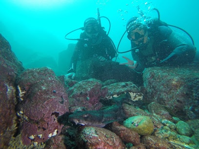 BUCEOS CHILE | Curso de Buceo PADI | Tienda Online