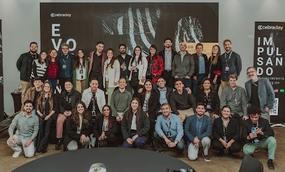 Cebra | Agencia de Marketing Digital
