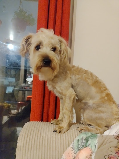 Clínica Veterinaria CMK(ex Aldea Animal)