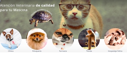 Clínica Veterinaria Pichichus