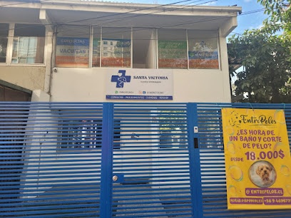 Clínica Veterinaria Santa Victoria 24 horas - Metro Santa Isabel