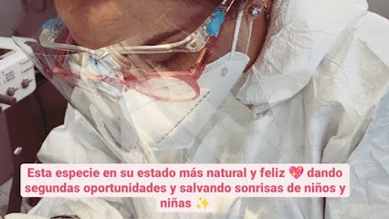 Dani Dentista Odontopediatría