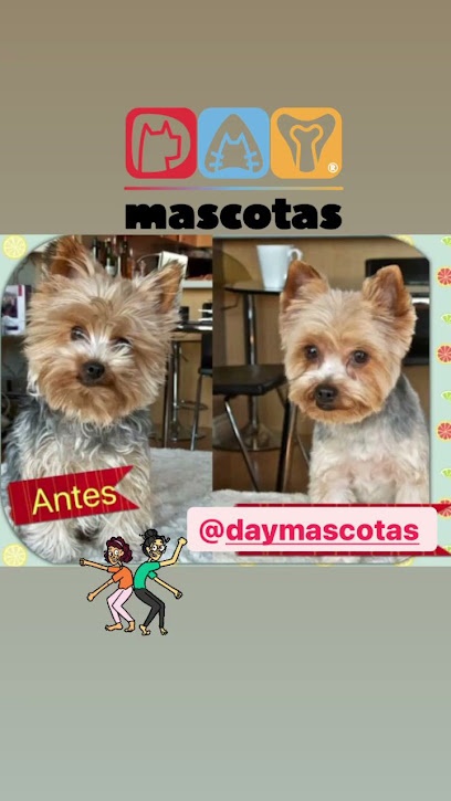 DAYMASCOTAS