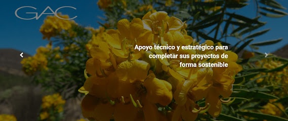 Gestión Ambiental Consultores S.A