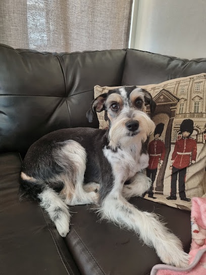 Le Fifi Boutique y Peluquería Canina