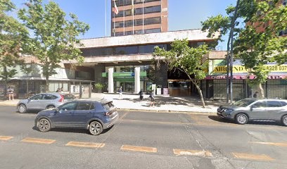 MEDIO AMBIENTE Y SOLUCIONES DE INGENIERÍA SpA