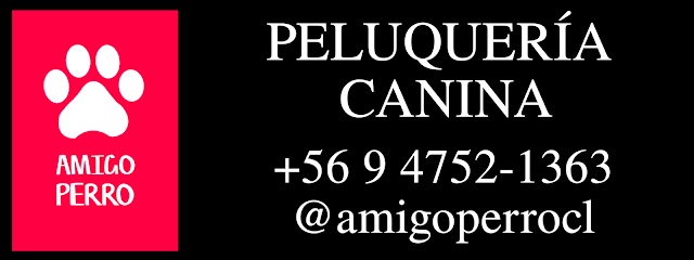 Peluquería Canina Razas Pequeñas - Santiago