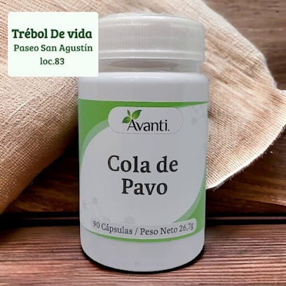 Tienda Trebol de Vida