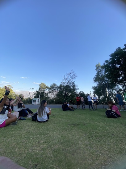 Tour Family Chile