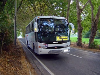 Transportes Schneider y Cia