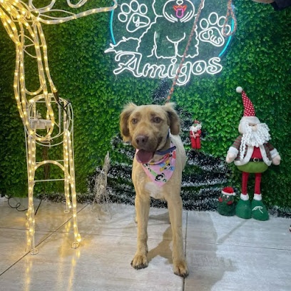 Veterinaria y Peluquería Canina Milo y Sus Amigos SPA