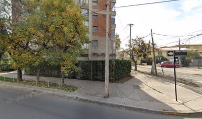 Análisis Psíquico