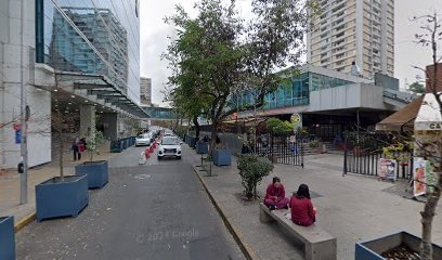 Pizarro M Ismael
